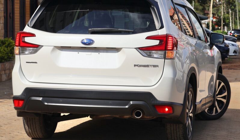 
								Subaru Forester full									