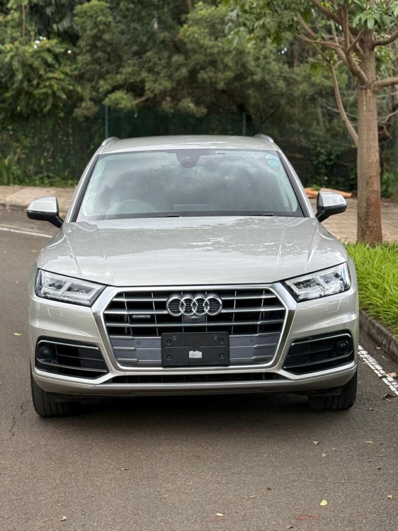 
								Audi Q5 full									