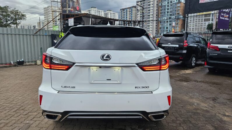 
								Lexus RX F SPORT full									