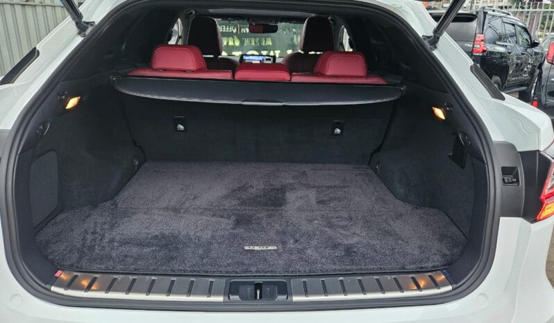 
								Lexus RX F SPORT full									