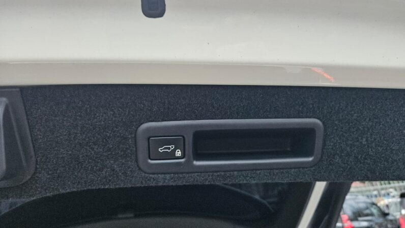 
								Lexus RX F SPORT full									