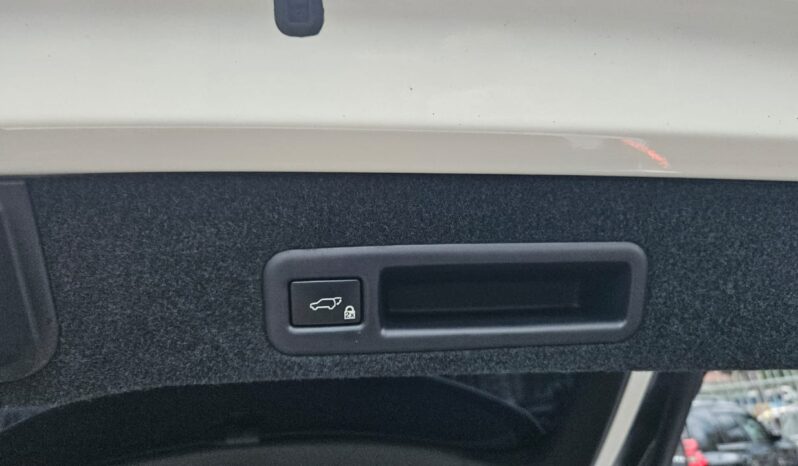 
								Lexus RX F SPORT full									