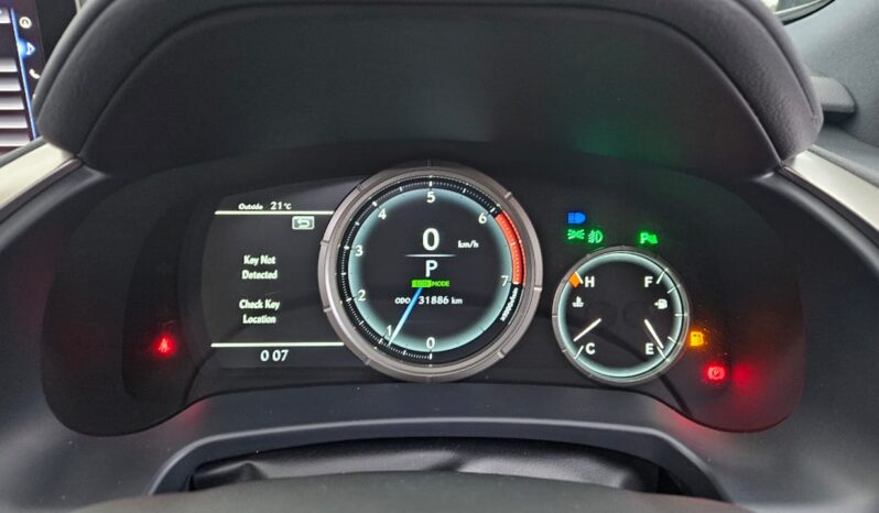 
								Lexus RX F SPORT full									