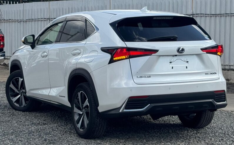 
								Lexus NX300h full									