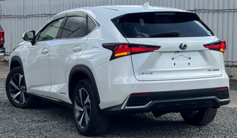 
								Lexus NX300h full									