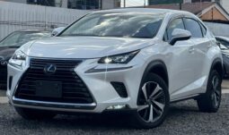 Lexus NX300h