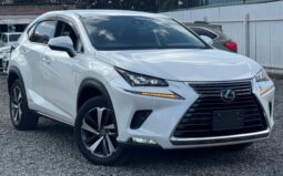 Lexus NX300h