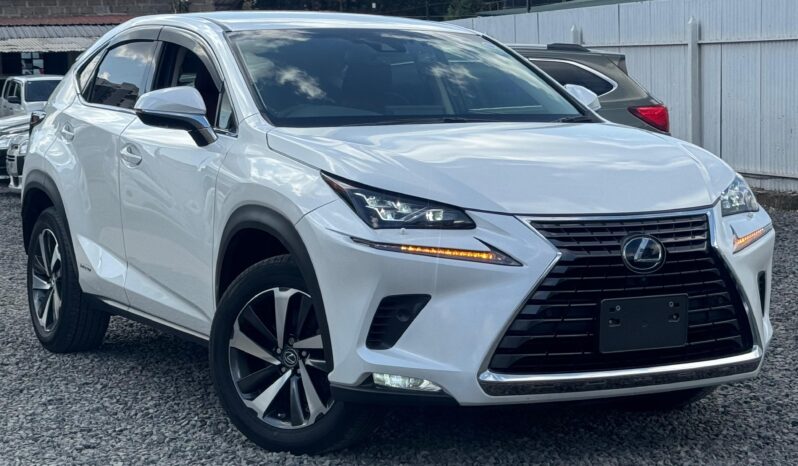 
								Lexus NX300h full									