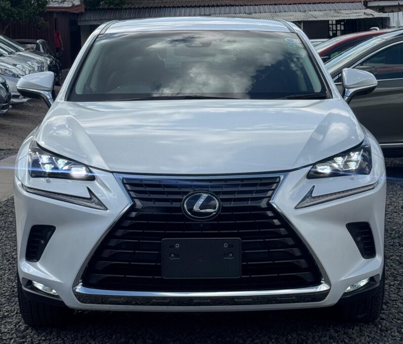 
								Lexus NX300h full									