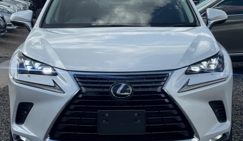 
								Lexus NX300h full									