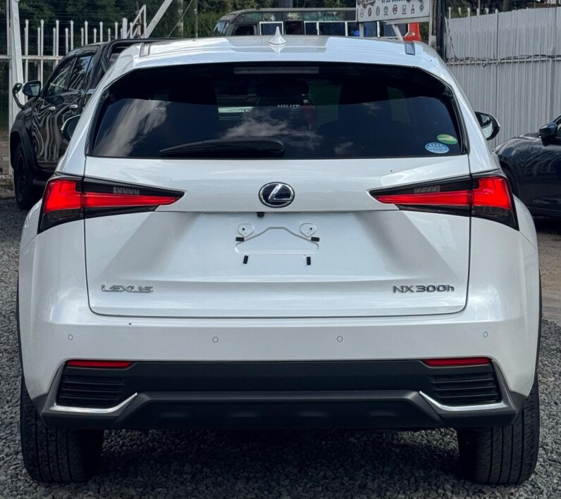 
								Lexus NX300h full									