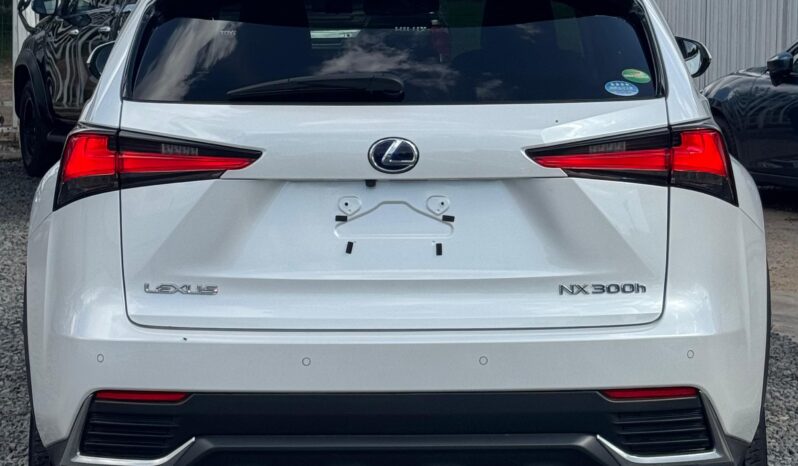 
								Lexus NX300h full									