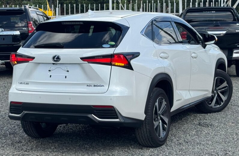 
								Lexus NX300h full									
