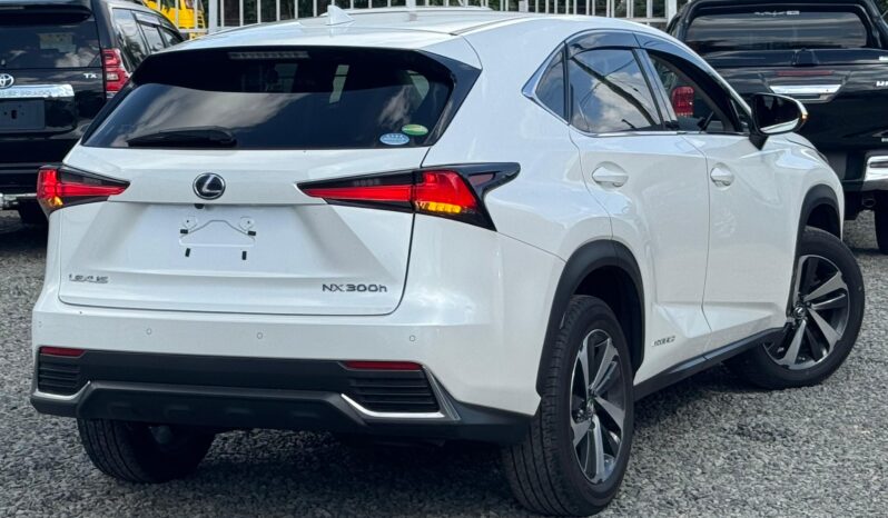
								Lexus NX300h full									