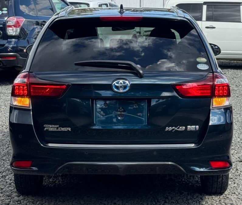 
								Toyota Fielder WXB full									