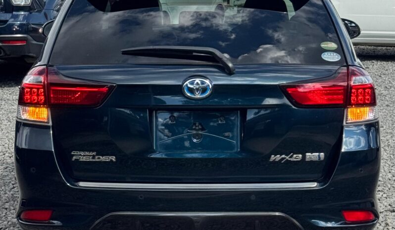 
								Toyota Fielder WXB full									