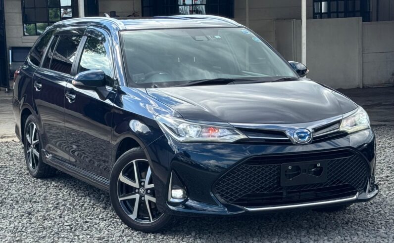 
								Toyota Fielder WXB full									