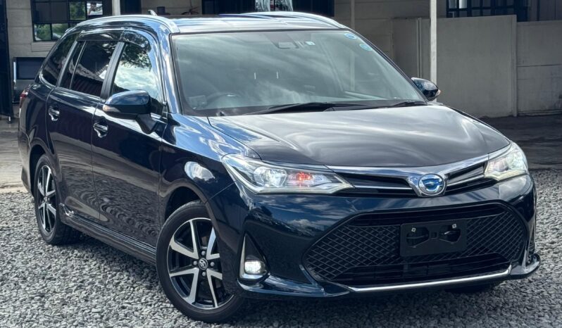 
								Toyota Fielder WXB full									