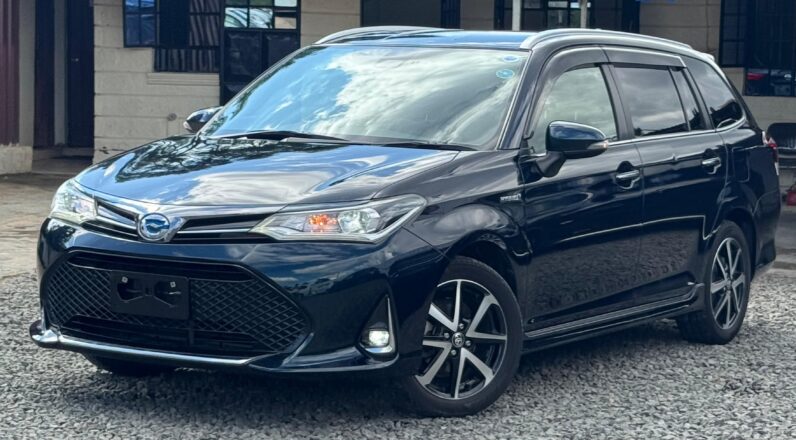 
								Toyota Fielder WXB full									