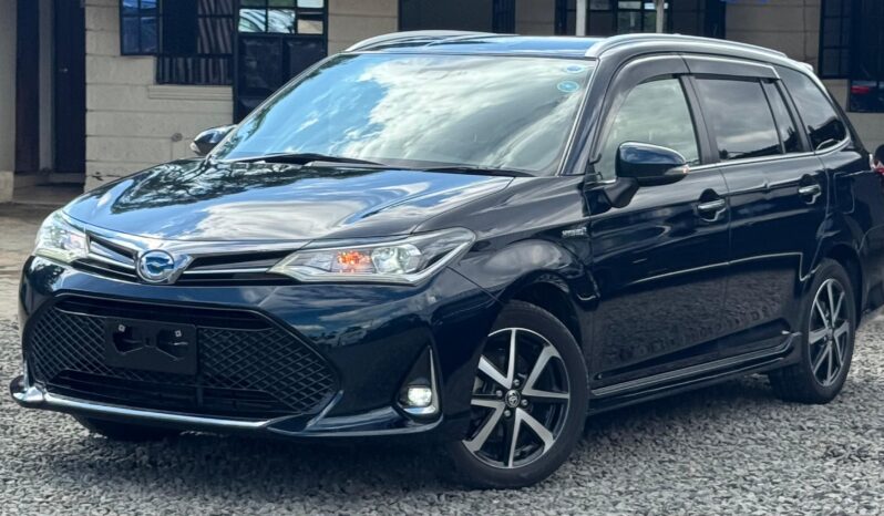 
								Toyota Fielder WXB full									