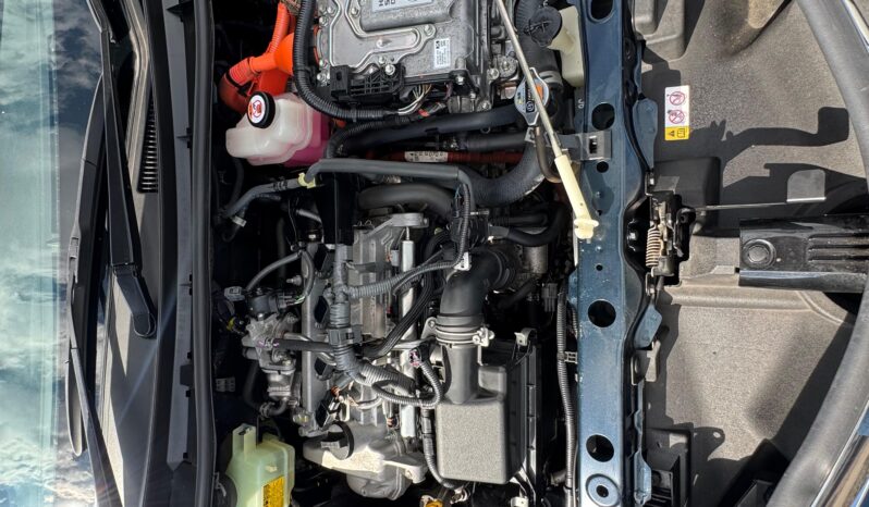 
								Toyota Fielder WXB full									