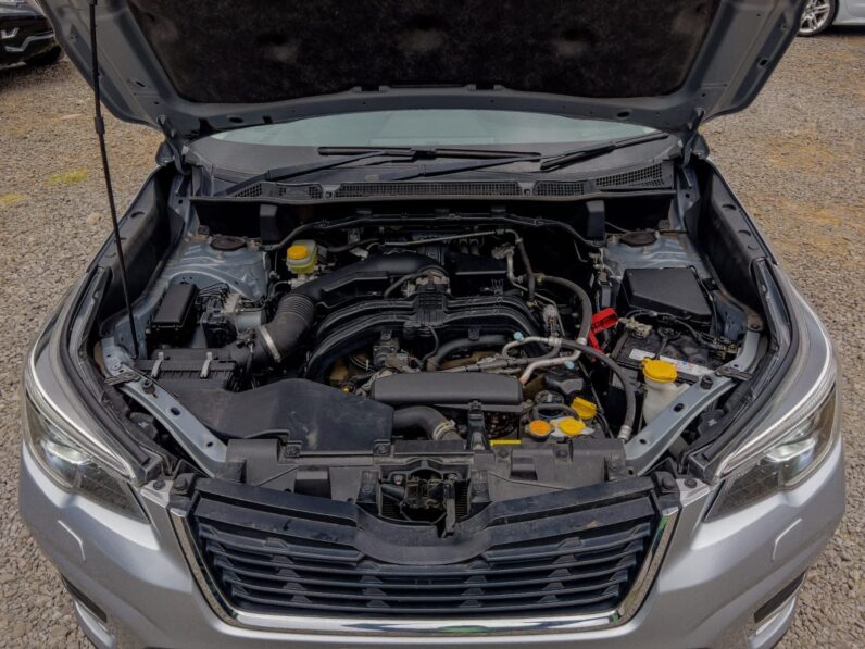 
								Subaru Forester full									