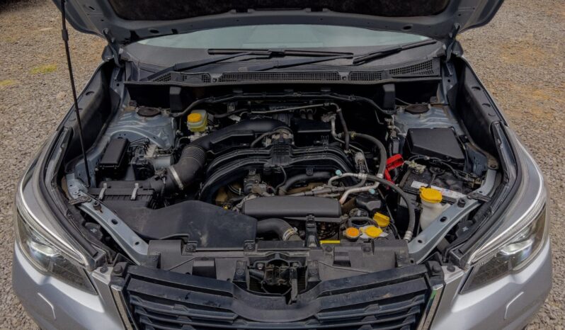 
								Subaru Forester full									