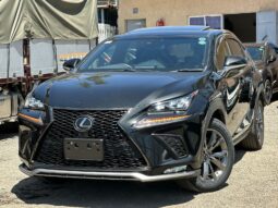 Lexus NX300~F-SPORTS