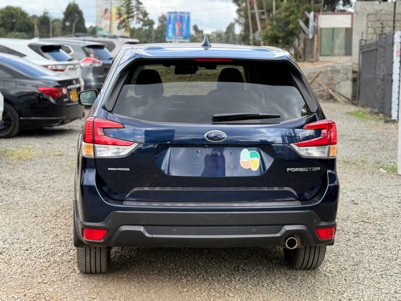 
								Subaru Forester full									