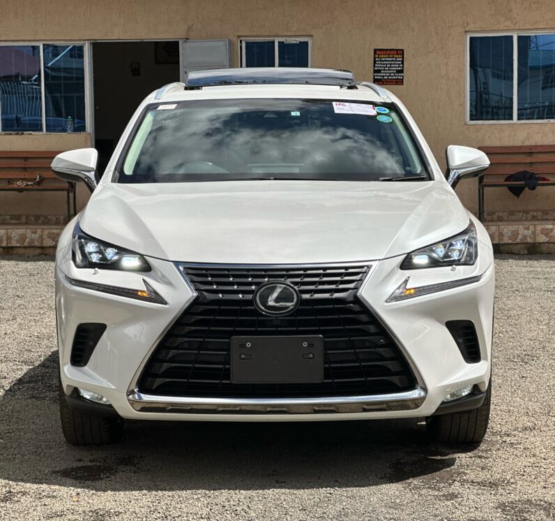 
								Lexus NX300 full									
