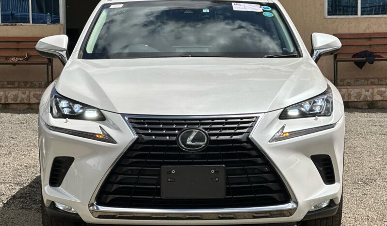 
								Lexus NX300 full									