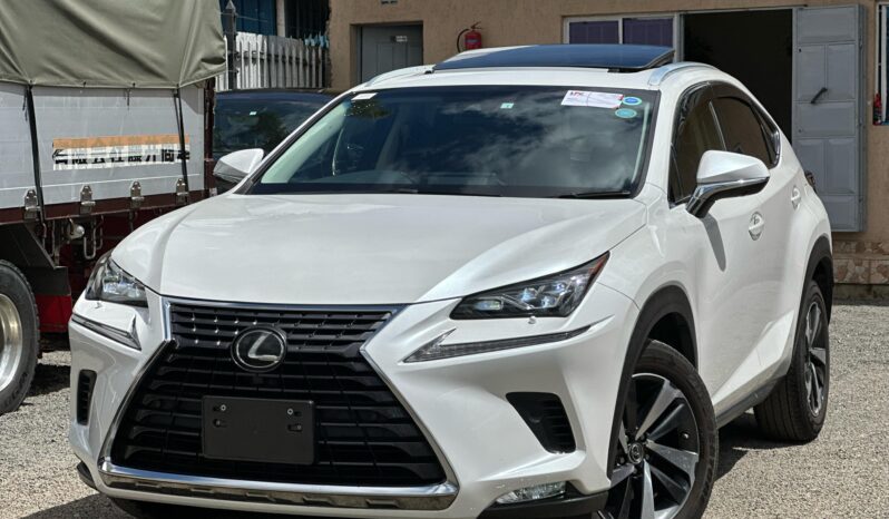 
								Lexus NX300 full									