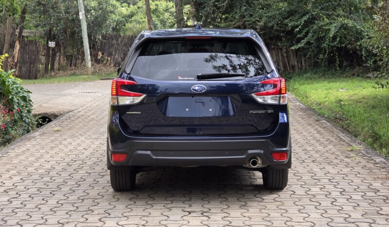 
								Subaru Forester full									