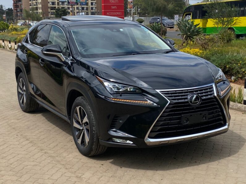
								Lexus Nx300 full									