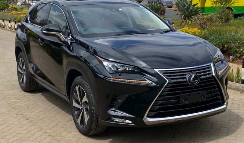 
								Lexus Nx300 full									