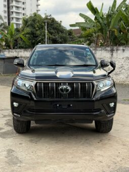 Land cruiser Prado TX