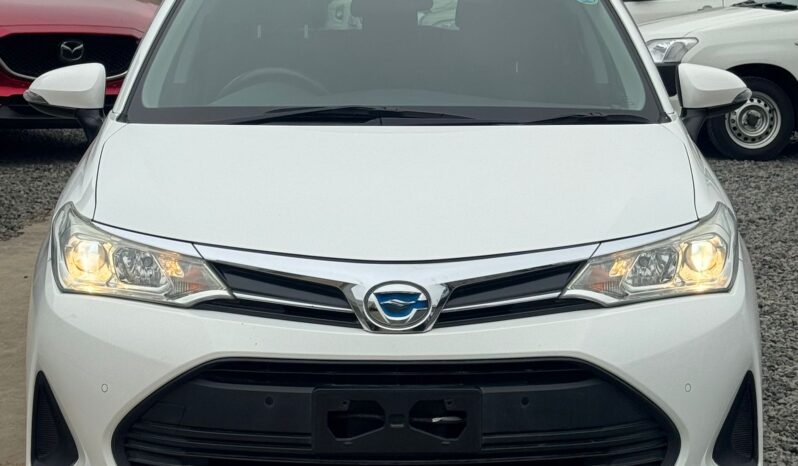 
								Toyota Fielder. full									