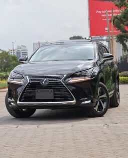 Lexus NX300