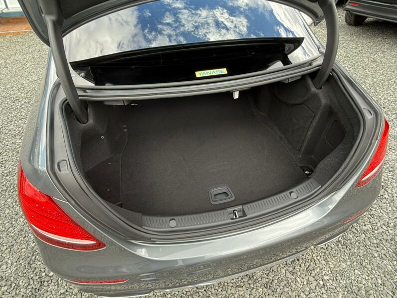 
								Mercedes Benz E250 full									