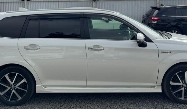 
								Toyota Fielder WxB full									