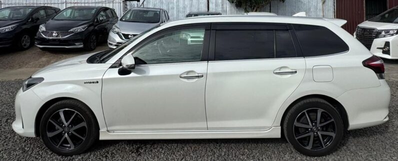 
								Toyota Fielder WxB full									