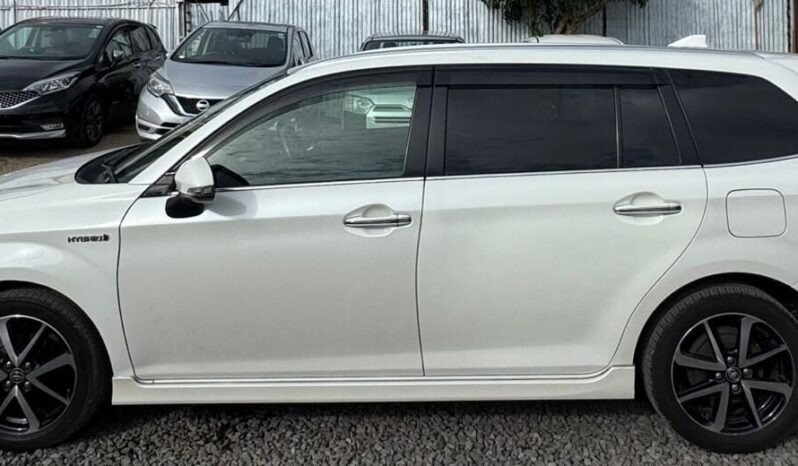 
								Toyota Fielder WxB full									