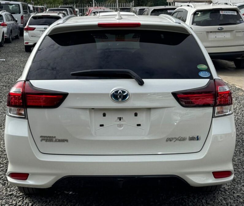 
								Toyota Fielder WxB full									