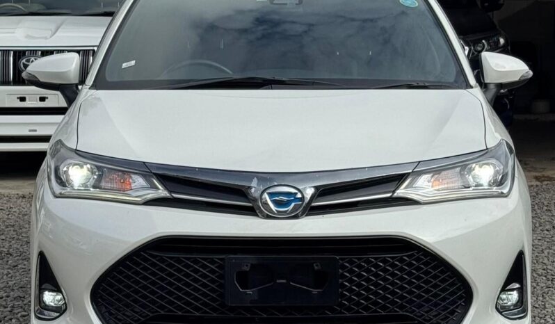 
								Toyota Fielder WxB full									