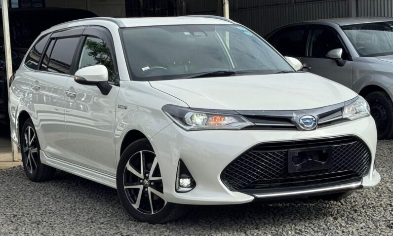 
								Toyota Fielder WxB full									