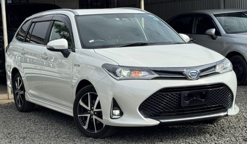 
								Toyota Fielder WxB full									