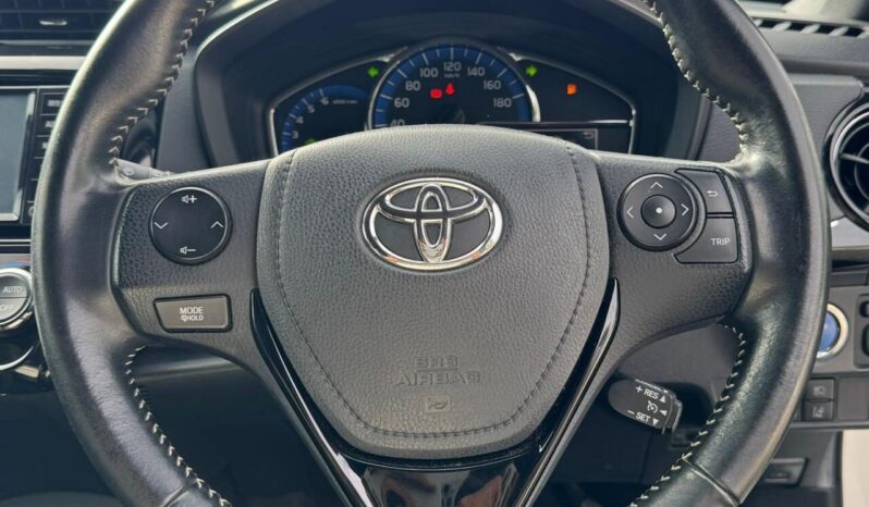 
								Toyota Fielder WxB full									