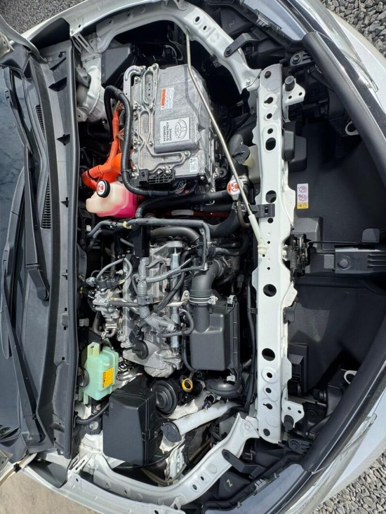 
								Toyota Fielder WxB full									