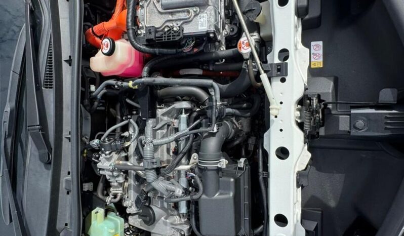 
								Toyota Fielder WxB full									