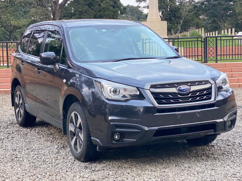 
								Subaru Forester full									